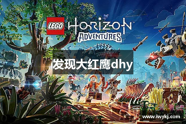 发现大红鹰dhy