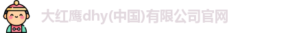 大红鹰dhy